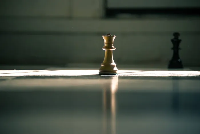 棕色皇后棋子