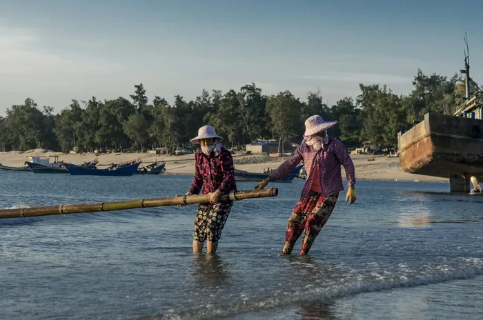 在水上拔竹子的人