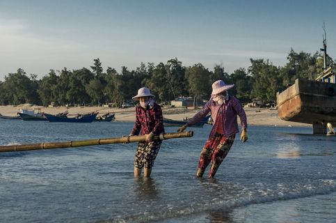 在水上拔竹子的人