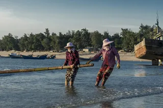 在水上拔竹子的人