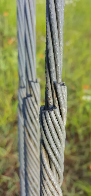 电线、电缆、线路、切割、潮湿、紧固、系带、特写