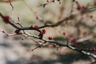 在秋天的森林里散步