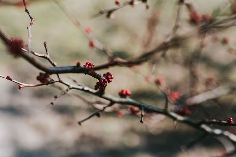 在秋天的森林里散步 在秋天的森林里散步