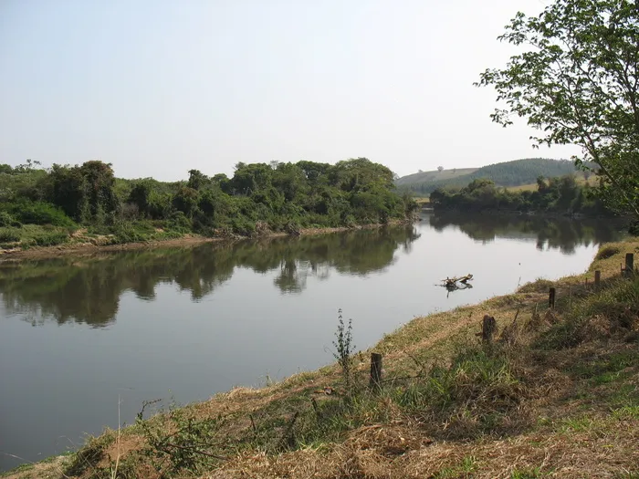 河，groupie，groupie，巴西，水，树，湖，宁静，宁静的场景