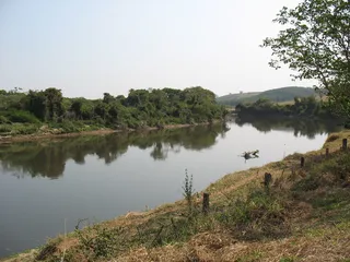 河，groupie，groupie，巴西，水，树，湖，宁静，宁静的场景