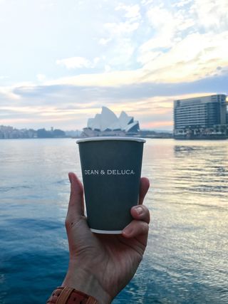 澳大利亚，悉尼，环形码头，悉尼歌剧院，早晨，咖啡，迪安和德鲁卡，创意