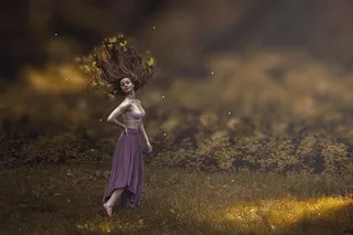 女人，穿着，紫色，连衣裙，森林，女巫，仙女，一个人