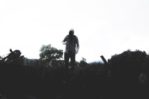 个人，穿着，灰色拉链连帽衫，绿色，树木，植物，轮廓