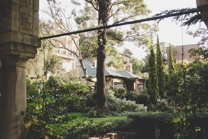 靠近树木的房子