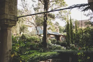 靠近树木的房子