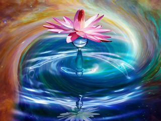 模糊，花朵，绿色，花朵，花朵，自然，背景，春天