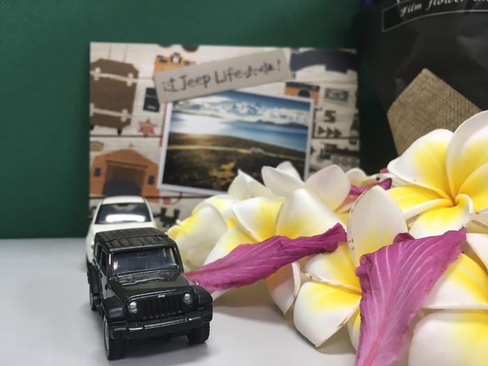 吉普车、鸡蛋花、旅行、特写、花卉、室内、无人、开花植物