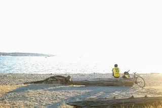 人，坐着，海岸，人，木材，附近，海洋，海洋