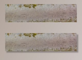 远离，痕迹，重印，沙地上的痕迹，足迹，自然，生长，植物