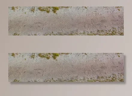 远离,痕迹,重印,沙地上的痕迹,足迹,自然,生长,植物 远离,痕迹,重印,沙地上的痕迹,足迹,自然,生长,植物