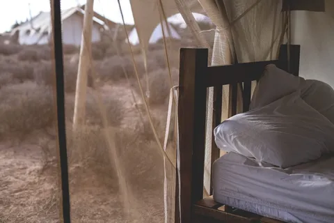 帐篷，屏风，床，枕头，泥土，田地，家具，没有人