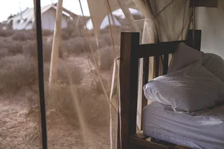 帐篷，屏风，床，枕头，泥土，田地，家具，没有人