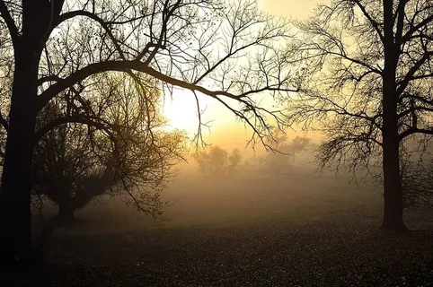 雾,日出,晨曦,天气,朦胧,泥泞,秋天,风景 雾,日出,晨曦,天气,朦胧,泥泞,秋天,风景