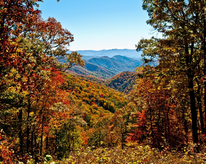 风景、山脉、森林、户外、公园、景观、烟雾山、风景区