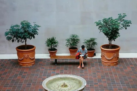 纽约，美国，极简主义，符号，阅读，工作，放松，专注