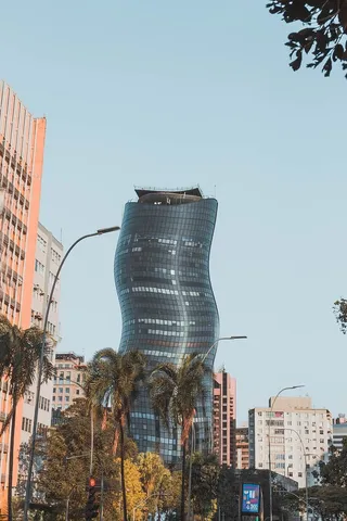 建筑物附近的绿色棕榈树