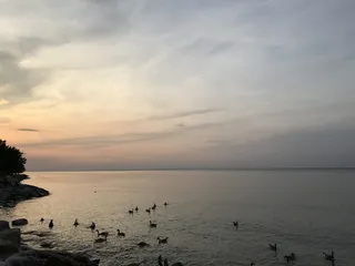 加拿大，尼亚加拉湖，加拿大湖，日落，鸭子，水，天空，风景-自然