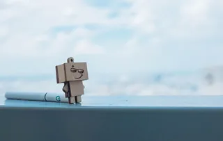 博克摄影中的亚马逊吉祥物