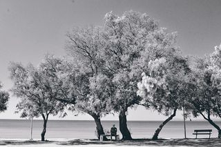 黑白激光风景，海景肖像，长凳上的老人，海，树，海景，自然，黑色