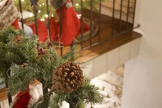 圣诞节、栏杆、松树、冬青树、节日、长袜、植物、装饰