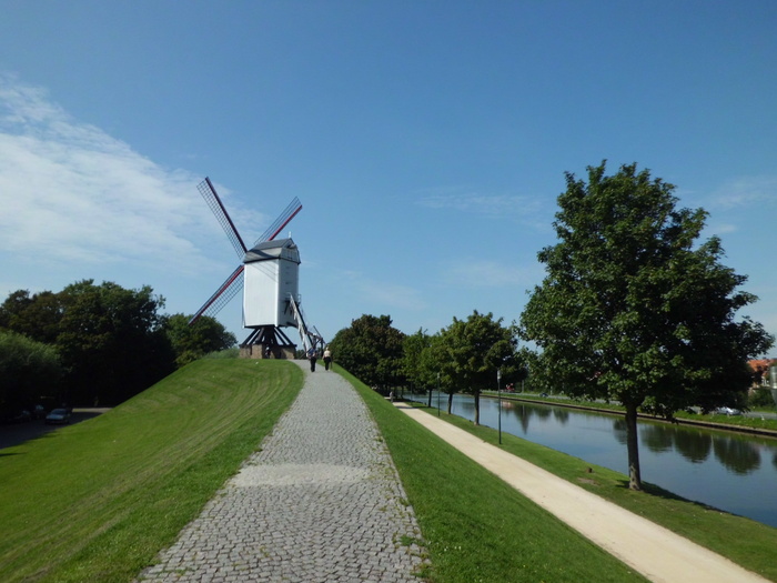 mill，campaign，channel，比利时，plant，sky，Environment conservation，tree