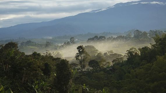 田野，自然，亚美尼亚，昆迪奥，森林，亚美尼亚，昆迪奥，风景，宁静
