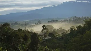 田野，自然，亚美尼亚，昆迪奥，森林，亚美尼亚，昆迪奥，风景，宁静