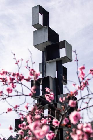 靠近粉色花瓣的黑色立方体塔