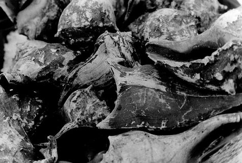 特写、全画幅、背景、无人、纹理、室内、静物、丰富