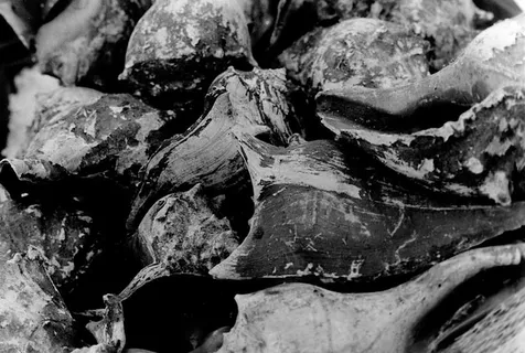 特写、全画幅、背景、无人、纹理、室内、静物、丰富