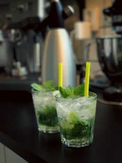 饮料，莫吉托，罗马，酸橙，节日，薄荷，点心，杯子