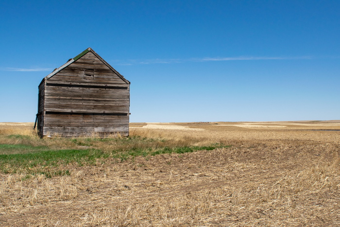 加拿大、赫歇尔、宾、木材、农场、景观、建筑、天空