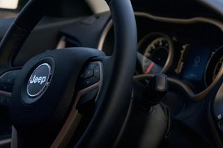 美国，城堡松树，驾驶，汽车，吉普车，汽车内饰，交通，方向盘