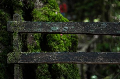 泰国清迈，Mos，doi ang ka，泰国清迈，关注前景，没有人，一天