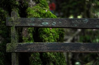 泰国清迈，Mos，doi ang ka，泰国清迈，关注前景，没有人，一天