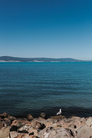 黑海海岸，阳光海滩，保加利亚