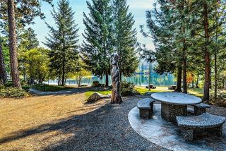 公园、野餐、雕像、熊、河流、乡村、乡村、乡村