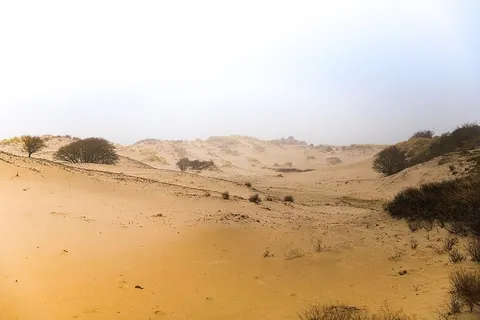 墙纸,海牙,沙丘,沙滩,大海,梅耶恩德尔,瓦森纳,高清墙纸 墙纸,海牙,沙丘,沙滩,大海,梅耶恩德尔,瓦森纳,高清墙纸