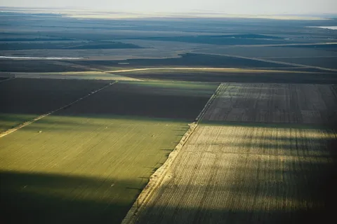 克里米亚，半岛，自然，俄罗斯，景观，风景-自然，环境，农业