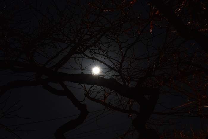 夜晚，天空，月亮，心情，大气，空间，神秘，月亮