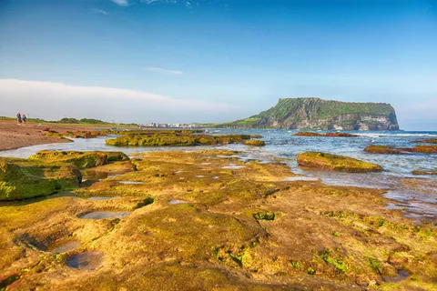 济州岛,日出,薪水,济州,日出薪水,奥利吉尔,自然,旅游 济州岛,日出,薪水,济州,日出薪水,奥利吉尔,自然,旅游