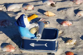 选择性, 聚焦摄影, 海鸥, 铺设, 沙丁鱼, 塑像, 企鹅, 数字