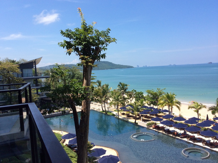 krabi、beyond、大海、海滩、夏天、树木、海岸线、自然
