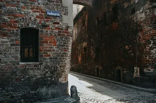 藤蔓覆盖的旧建筑