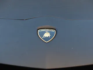 黑色兰博基尼，兰博基尼，汽车，品牌，标志，汽车品牌，人物，公牛